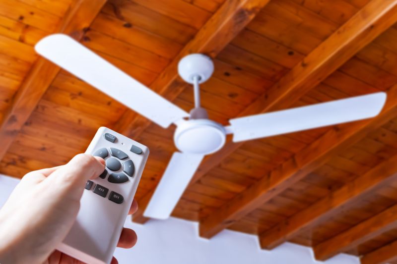 Ceiling Fan Service